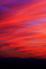 Washington Red Sunset