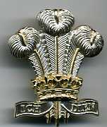 Royal Regt of Wales 2nd Pattern Cap Badge low res040.jpg