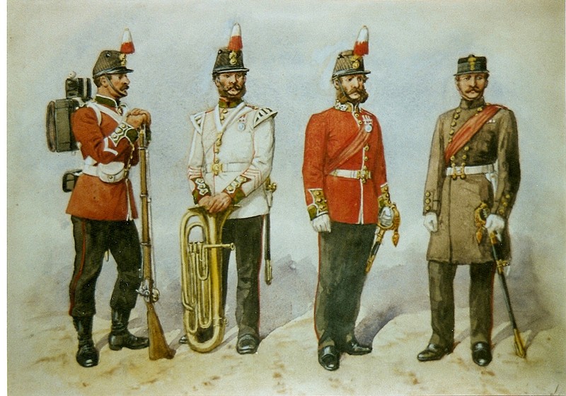 Northumberland Fusiliers, 1860s | British history, Military history ...