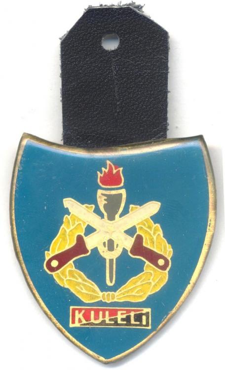 Kuleli Military Officer School pocket badge.JPG