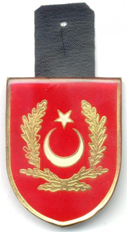 Ministry of National Defence pocket badge.JPG