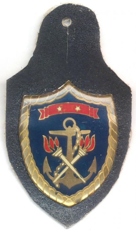 Navy - Naval Training and Education Command pocket badge.JPG
