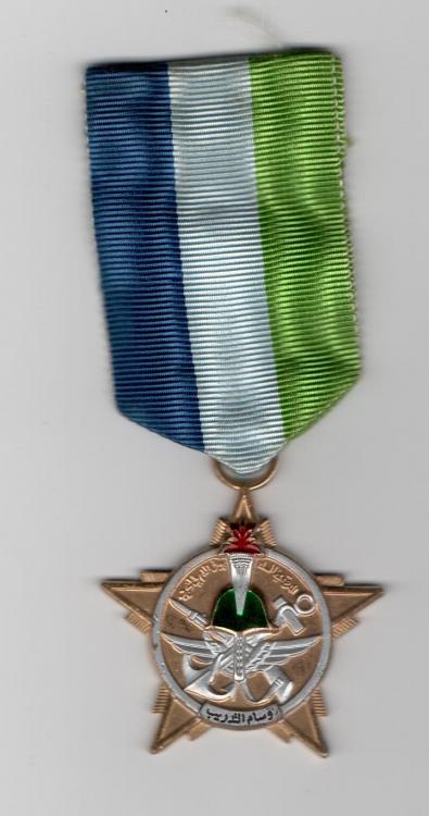 medal_001.thumb.jpg.393fe6f99c9652aede1a