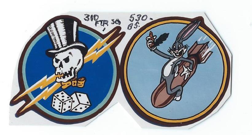 310th Fighter Squadron,& 530th Bombardment Squadron.jpg
