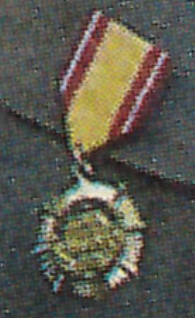 North Korean medal.jpg