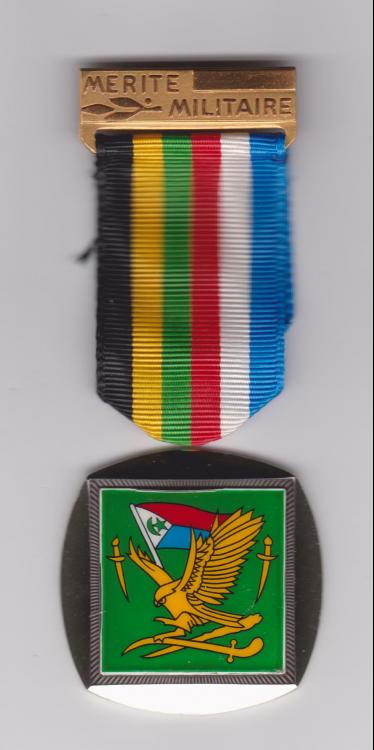 Unknown African Medal.jpg