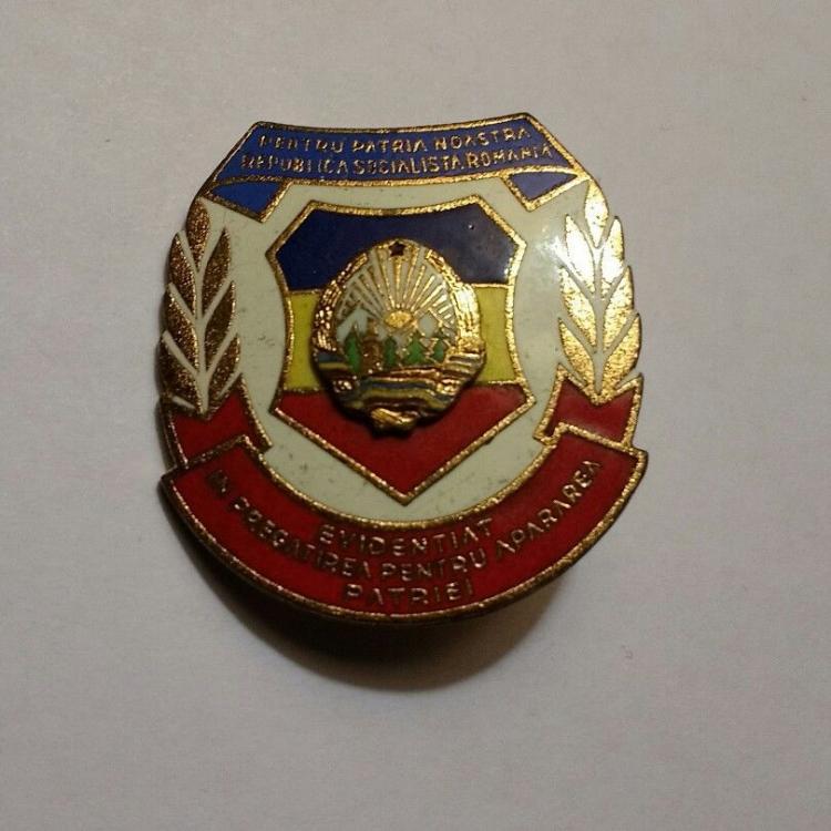 Romanian badge.jpg