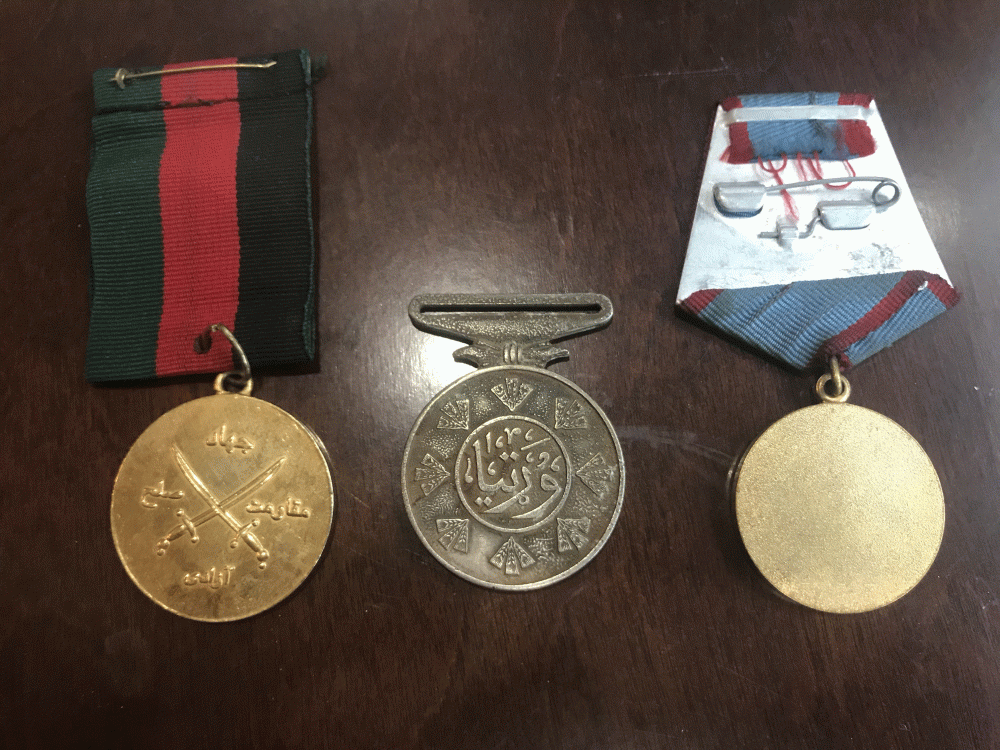 AfghanMedals2.gif