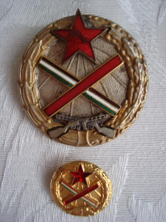Hungary-Partisan Badge no 1651-O-P30.JPG