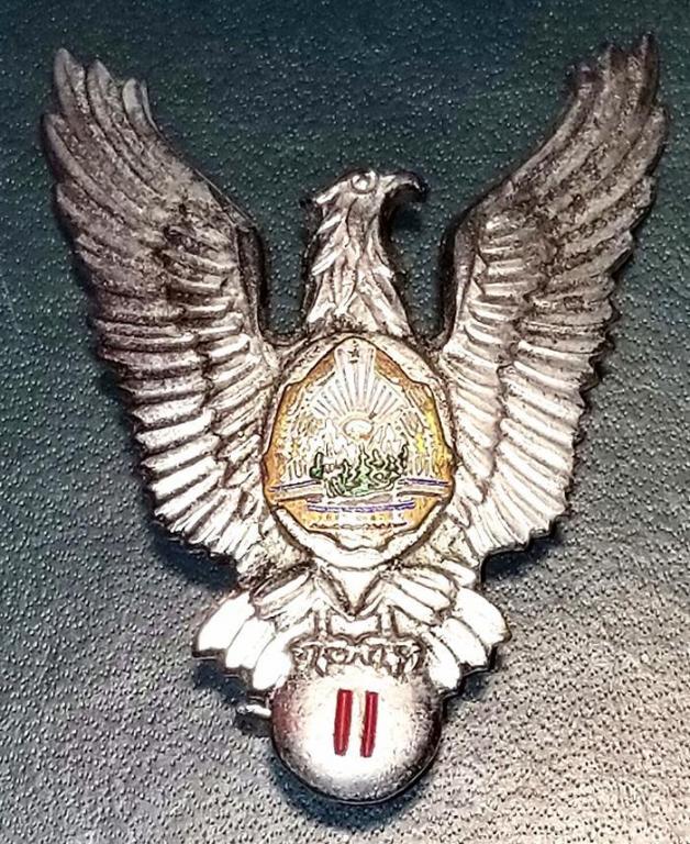 Romanian Badge.jpg