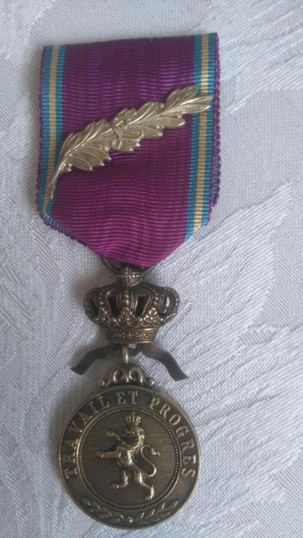Belgium-Royal Order of the Lion-O-E74.JPG