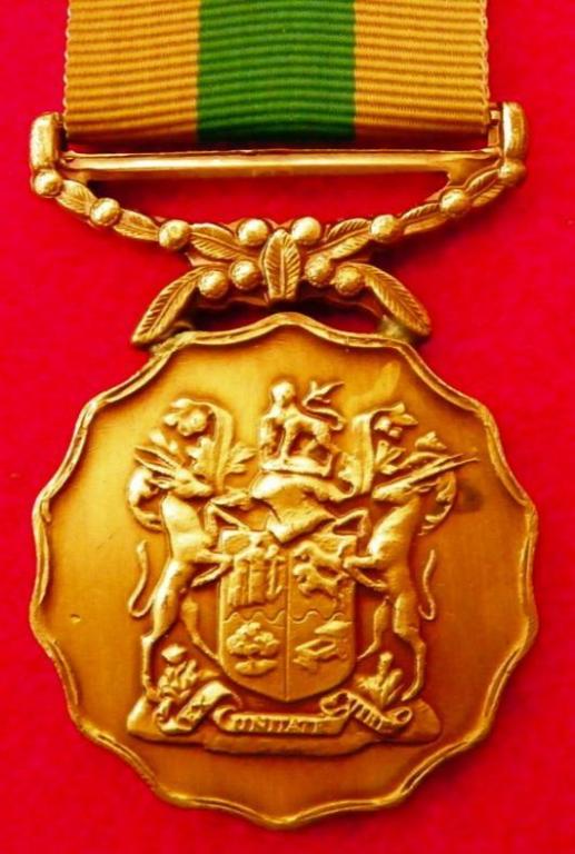 10 Jaar Medalje (Nuut PF) (Blink) (Dubbel Suspender) (2).JPG