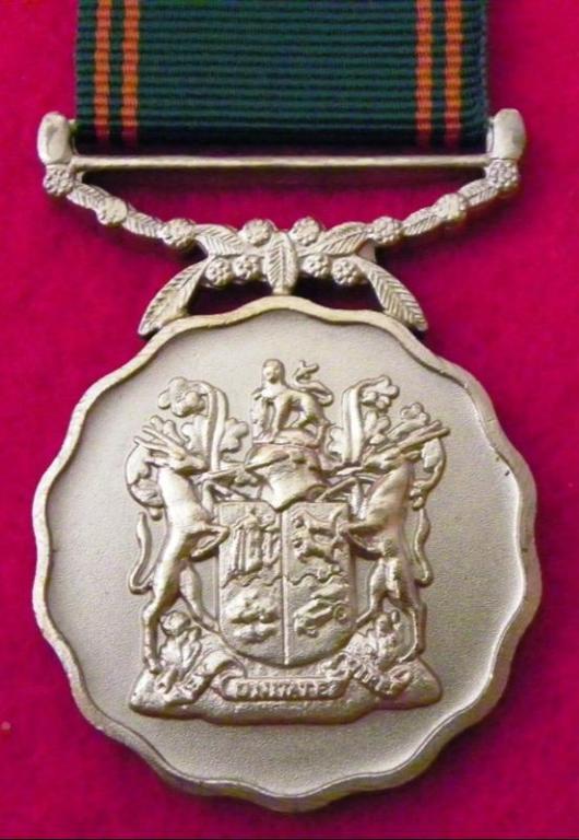 20 Jaar Medalje (Ou Kommando) (Dubbel Suspender) (Matt) (2).JPG