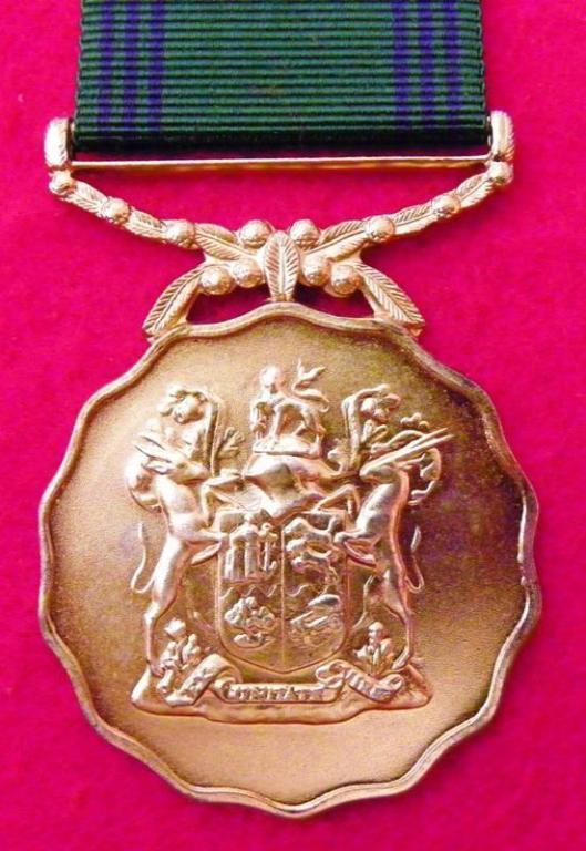 30 Jaar Medalje (Ou CF) (Enkel Suspender) (2).JPG