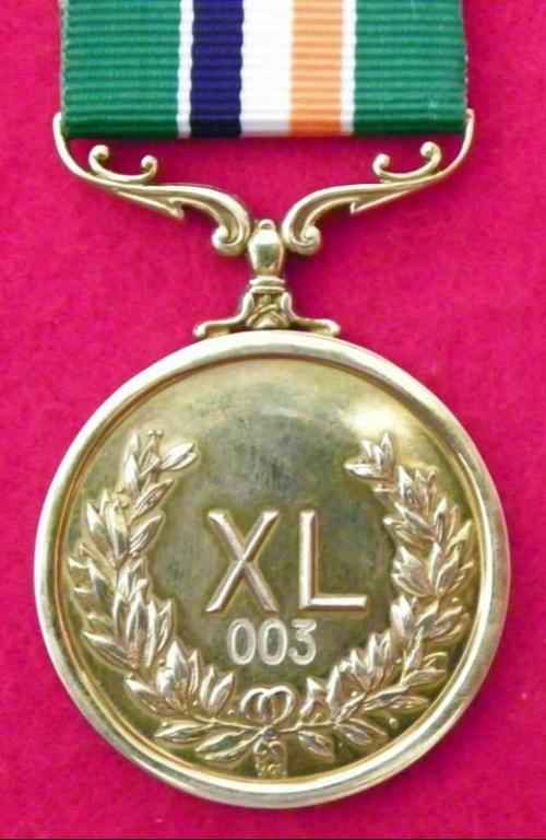 40 Jaar Medalje (9 Ct) (Voor 1994 Lint) (Groot Landswapen) (3).JPG