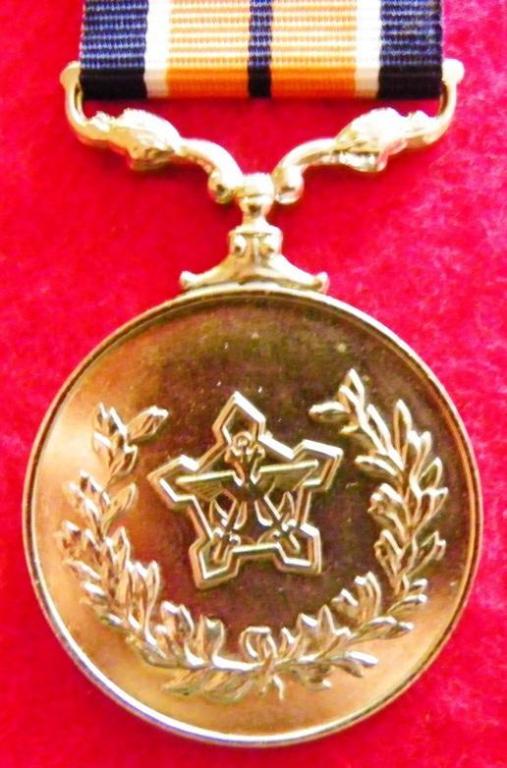 Algemene Diensmedalje (Plat - Blink) (2).JPG