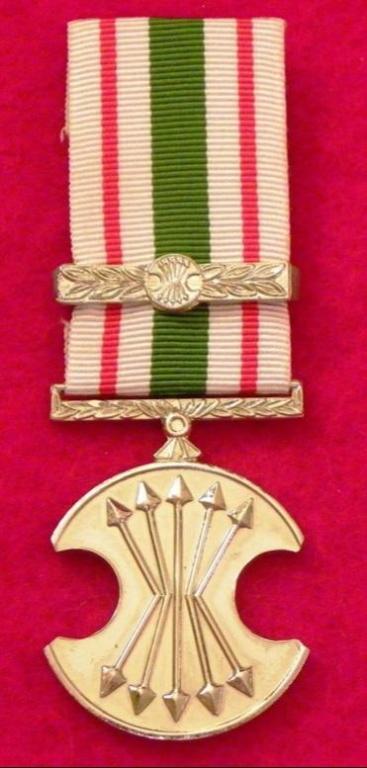 Bophuthatswana Police Medal for Combating Terrorism  (1).JPG