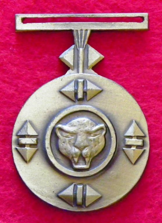 Bophuthatswana Weermag Aanprysingsmedalje (1).JPG
