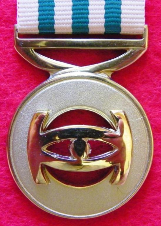 Intelligence Services Loyal Service Medal 30 Years (2005) (2).JPG