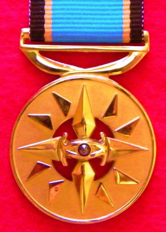 Intelligence Services Unknown Medal (2005) (1)(1).JPG