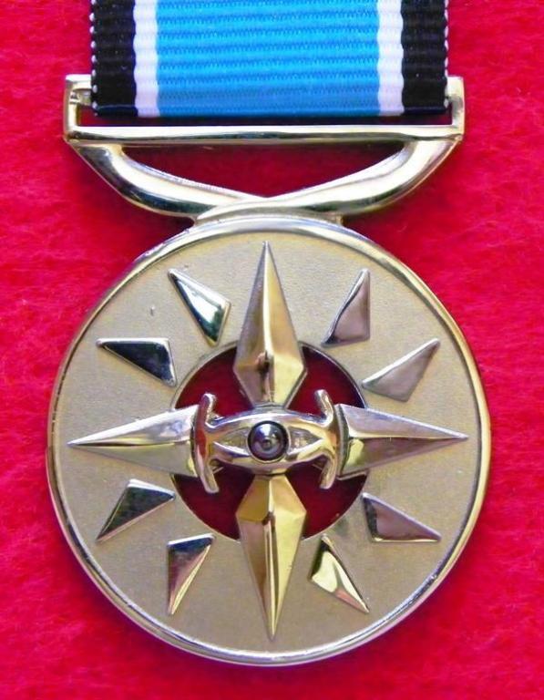 Intelligence Services Unknown Medal (2005) (5).JPG