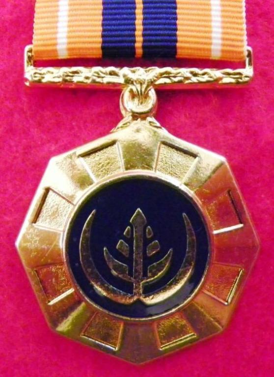 Pro Patria Medalje  (Embleem is Silwer) (2).JPG