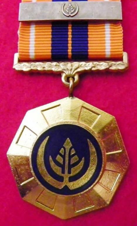 Pro Patria Medalje (Los Suspender) (Dof Enamel) (Silwer Bar) (2).JPG
