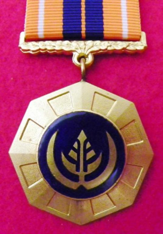 Pro Patria Medalje (Los Suspender) (SAM) (2).JPG