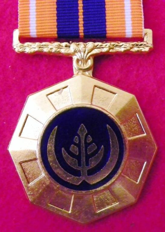 Pro Patria Medalje (Matt) (2).JPG
