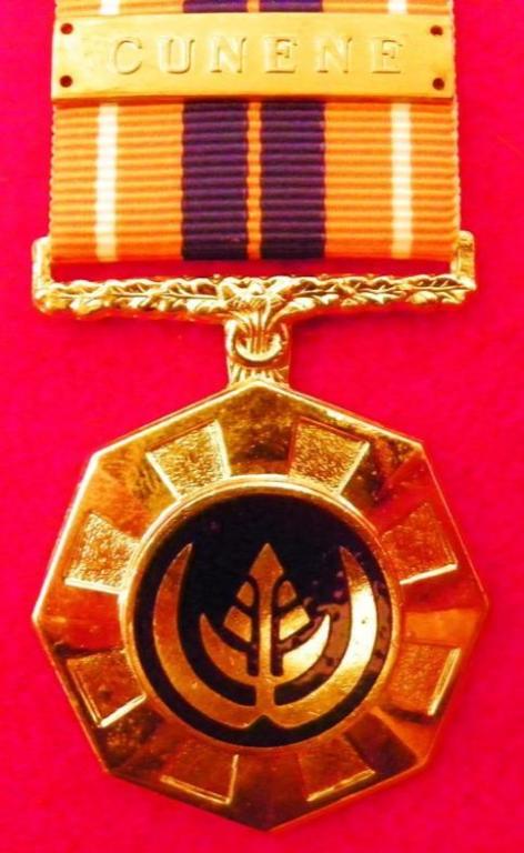 Pro Patria Medalje (Vas Suspender) (Dof Enamel) (Cunene Bar) (2).JPG