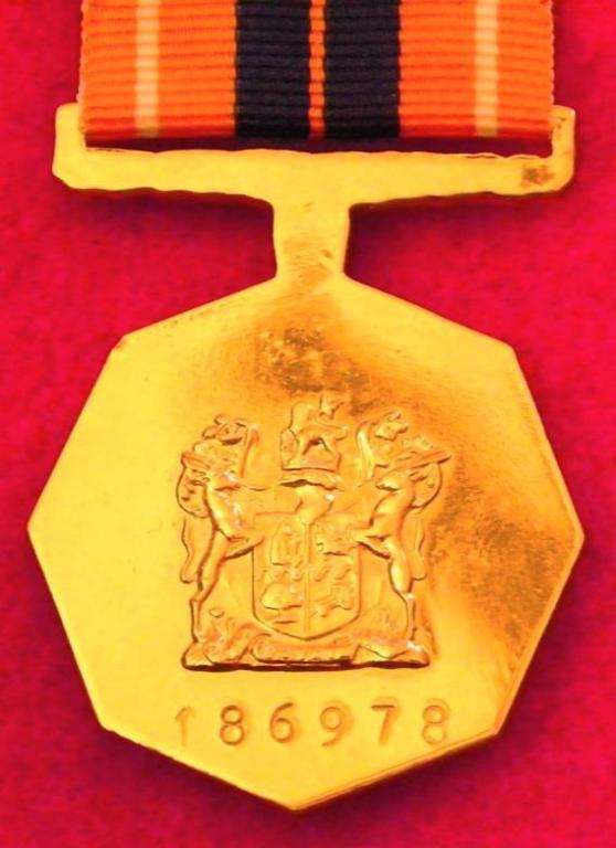Pro Patria Medalje (Vas Suspender) (Dof Enamel) (Cunene Bar) (4).JPG