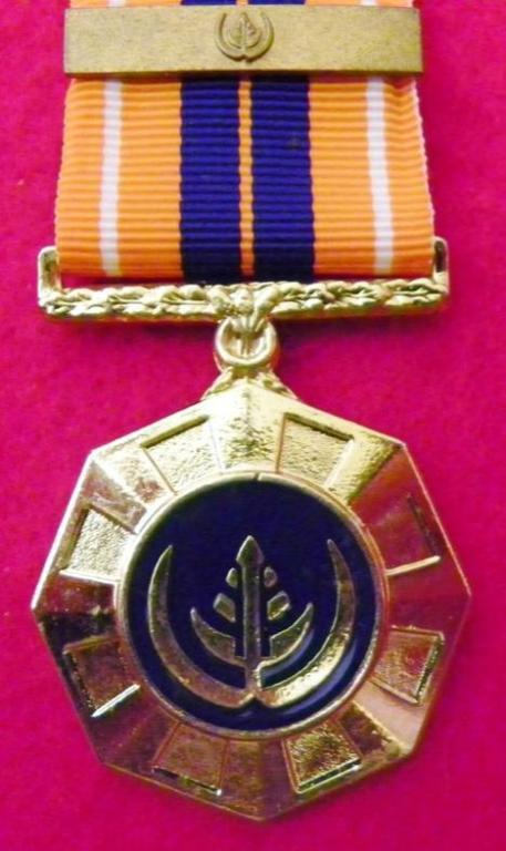 Pro Patria Medalje (Vas Suspender) (Plat) (Goue Bar) (2).JPG