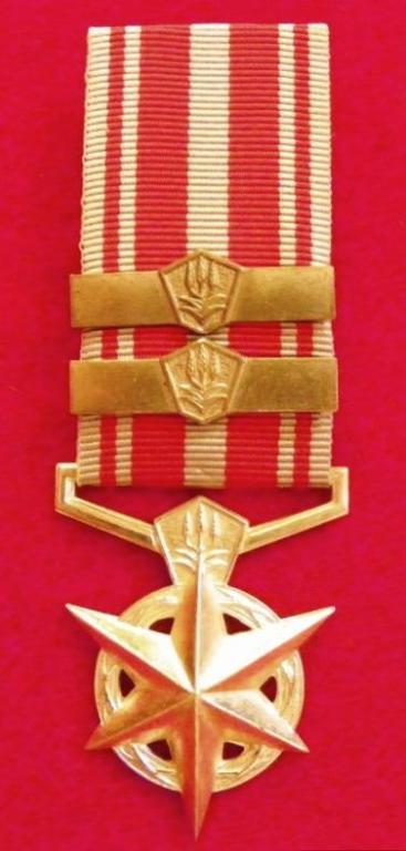 SA Police Medal for Combating Terrorism (2 Bars) (1).JPG