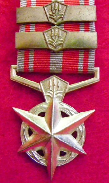 SA Police Medal for Combating Terrorism (2 Bars) (2).JPG