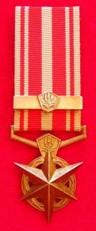 SA Police Medal for Combating Terrorism (Bar) (1).JPG