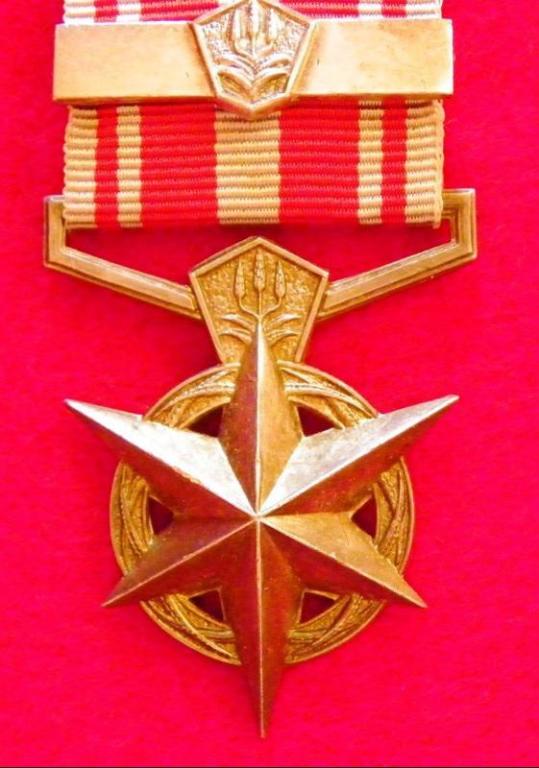 SA Police Medal for Combating Terrorism (Bar) (2).JPG
