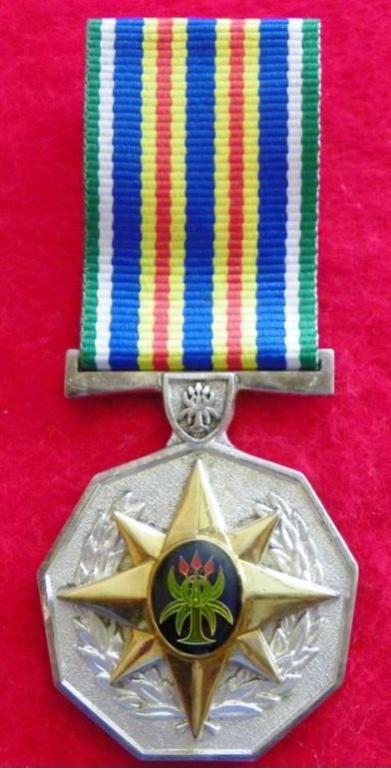 SA Police Service 30 Year Loyal Service Medal (Epoxy) (Proto Type) (1).JPG