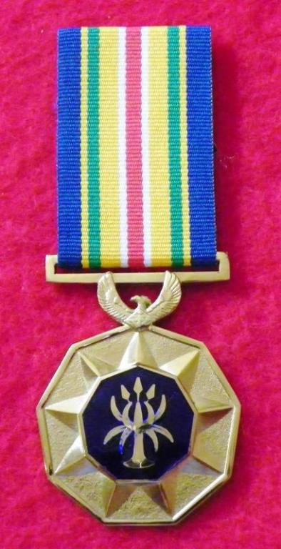 SA Police Service Gold Medal for Outstanding Service  (SOE) (Enamel) (1).JPG
