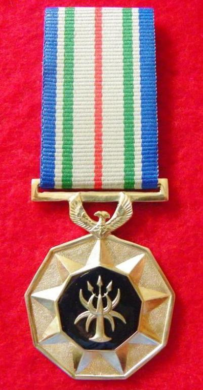 SA Police Service Silver Medal for Outstanding Service  (SOE) (Epoxy) (Proto Type) (1).JPG