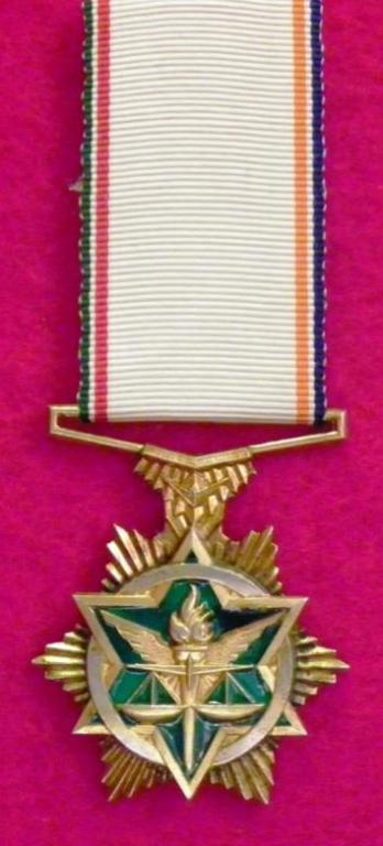 SA Police Star for Distinguished Service (SOO) (1).JPG