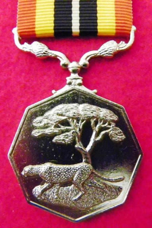 Suider Afrika Medalje (Groter Gras) (Enkel Suspender) (2).JPG