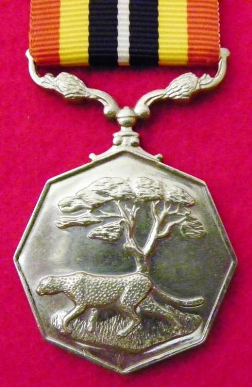 Suider Afrika Medalje (Kleiner Gras) (Enkel Suspender) (2).JPG