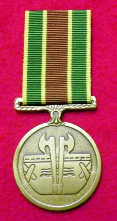 Venda National Force Medal for Combating Terrorism  (1).JPG