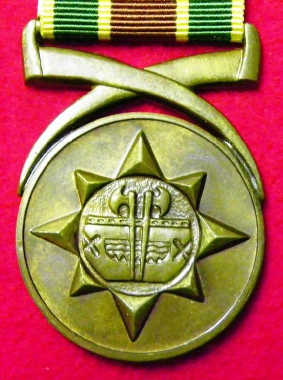Venda Police Medal for Combating Terrorism (Big Tusks) (Light Finish) (2).JPG