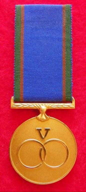 Venda Weermag “Distinguished Service” Goud (1).JPG