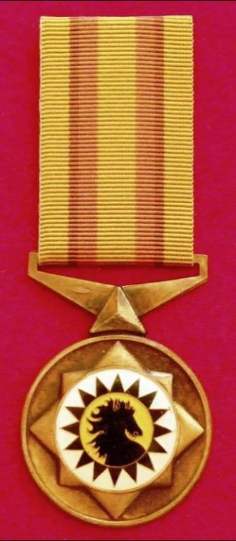 Qwa Qwa Police Medal for Faithful Service (10 Years) (1).JPG