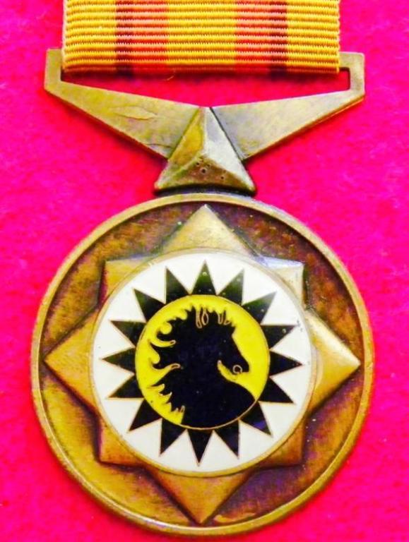 Qwa Qwa Police Medal for Faithful Service (10 Years) (2).JPG