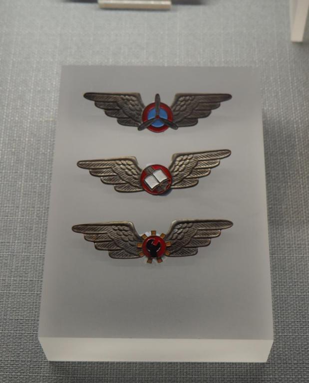 (b) Soviet Union, Aviation School Badges, Replica [Chang Qiankun]_1, Front Clear.JPG