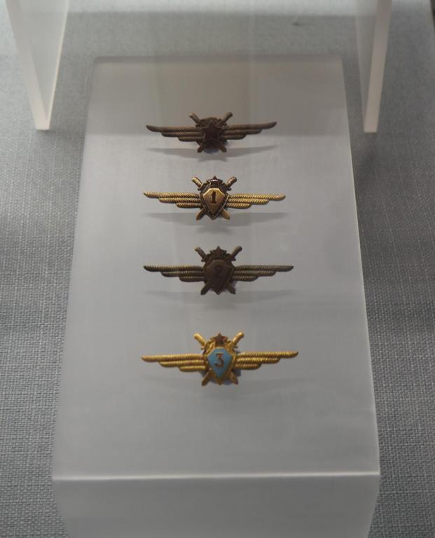 (b) Soviet Union, Aviation School Badges, Replica [Chang Qiankun]_2.JPG