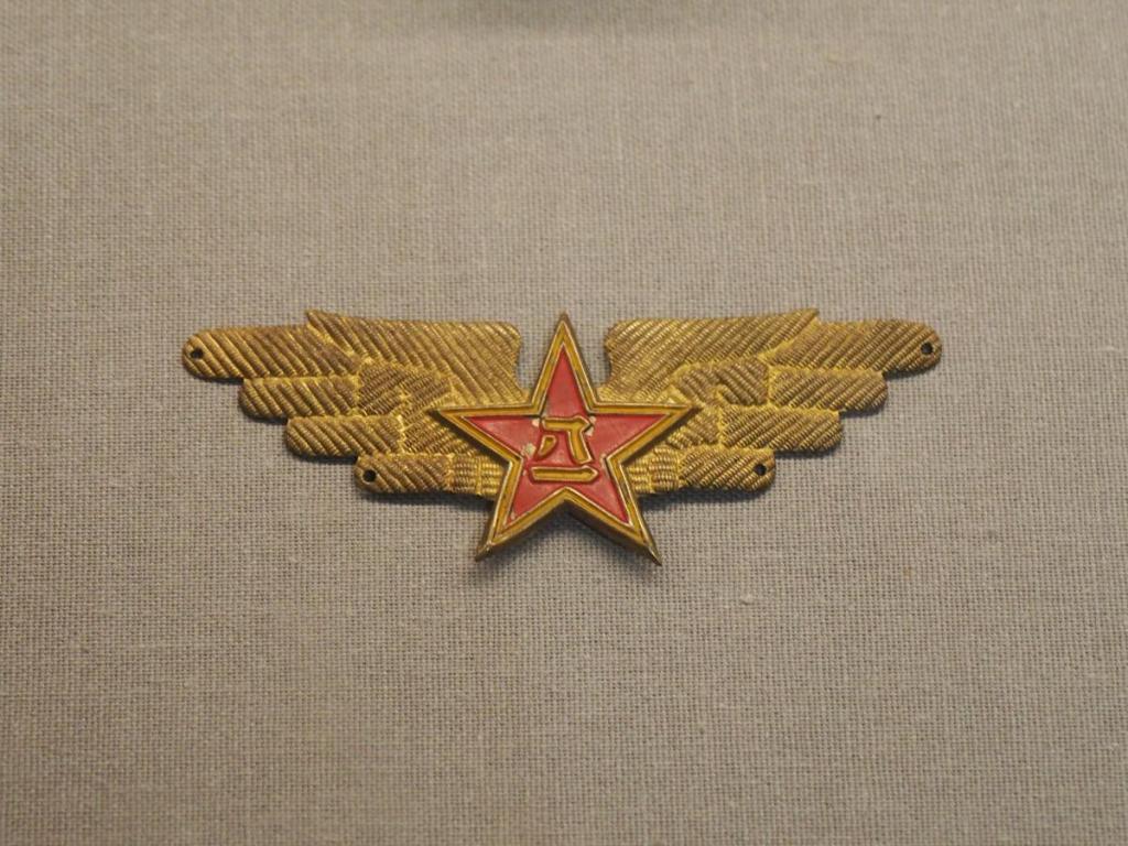 (e) 3rd Fighter Aviation Division Cap Badge [Wang Hai].JPG